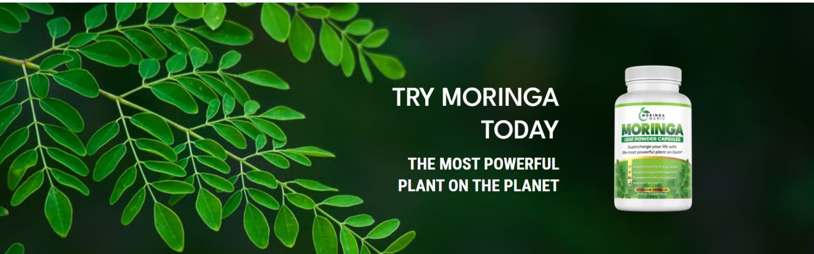Unlock the Secrets of Moringa: The Superfood Revolutionizing Health
